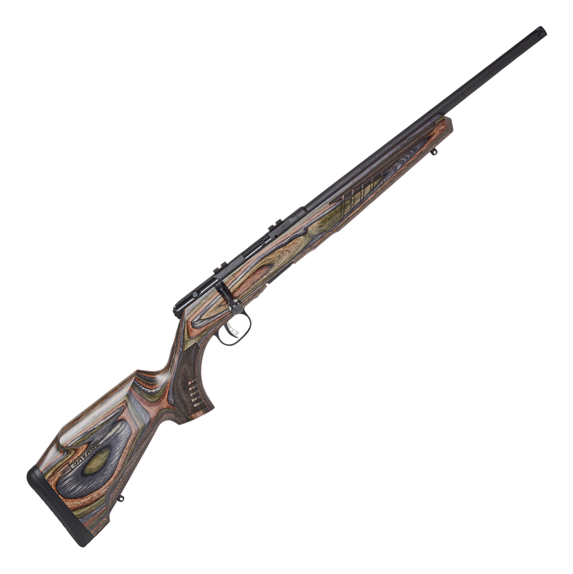 Savage Arms B17 BNS-SR Bolt-Action Rimfire Rifle | Bass Pro Shops